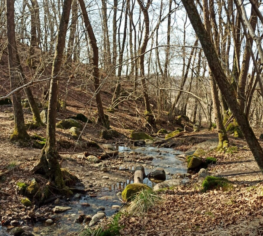 Il Parco dei Lagoni di Mercurago景点图片