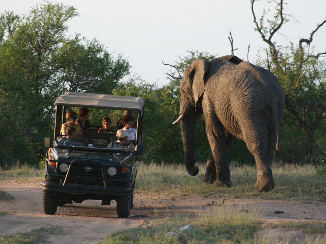 Tshukudu Game Lodge-霍德斯普鲁特必去景点