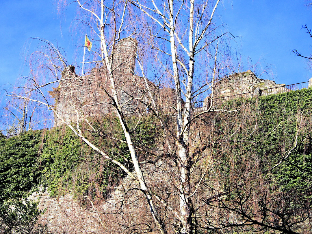 Ruins of the Castle of the Counts景点图片