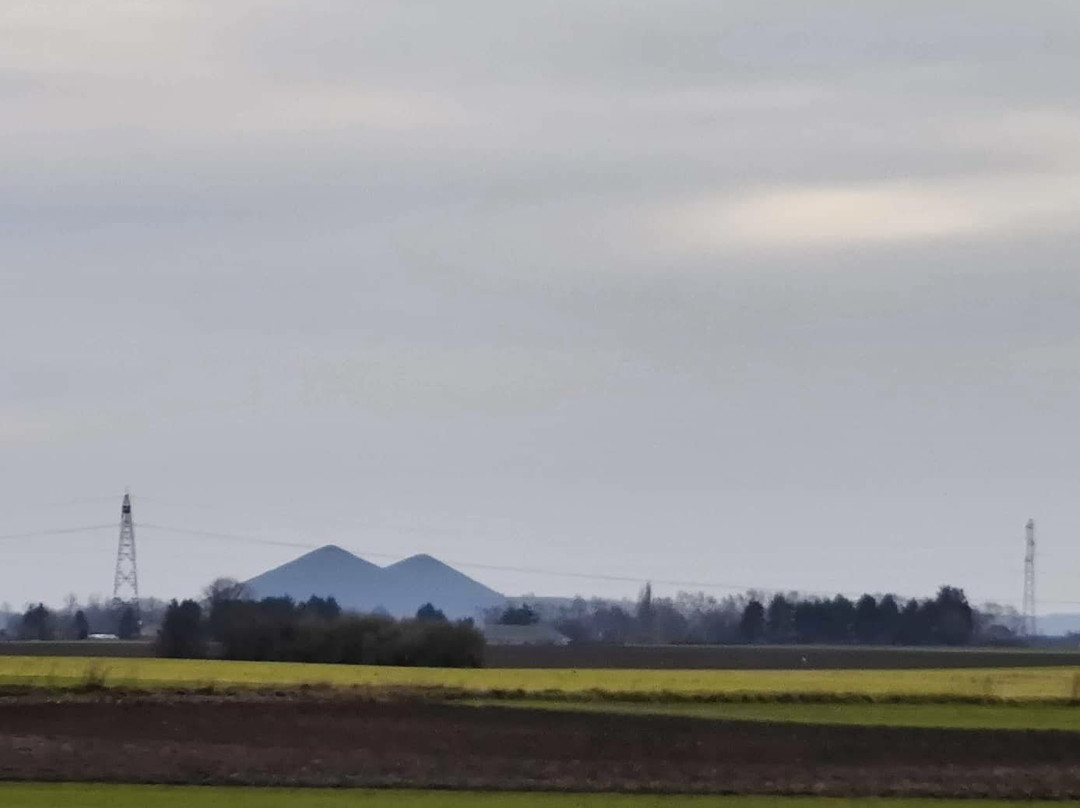 Terril De Loos En Gohelle-Loos en Gohelle必去景点