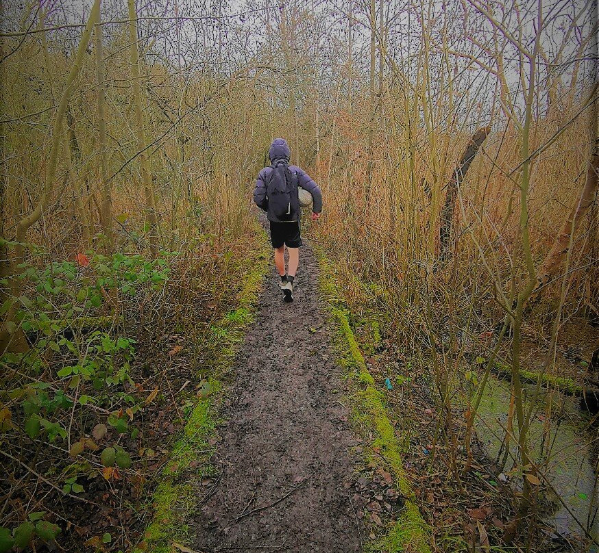 Essex Wildlife Trust Chafford Gorges Nature Park景点图片