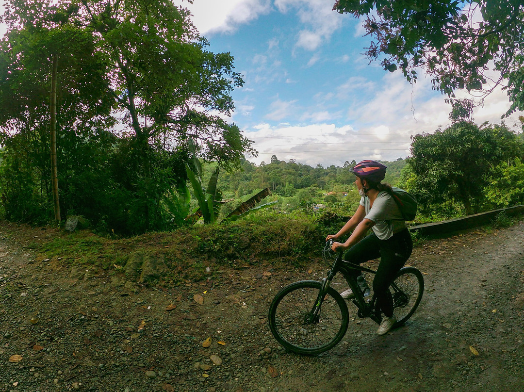 Ruta Bicicleta-Calarca必去景点