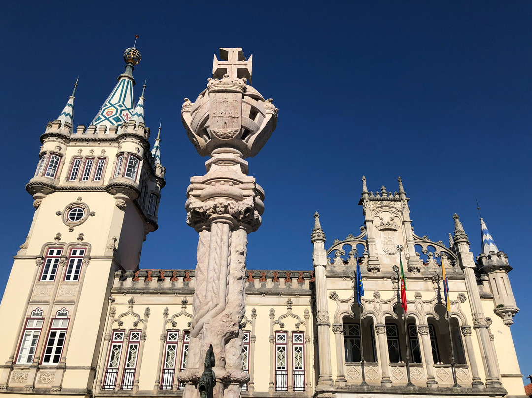 Câmara Municipal de Sintra景点图片