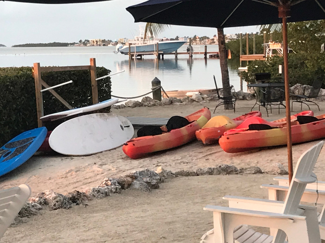 椰树棕榈树旅馆主图