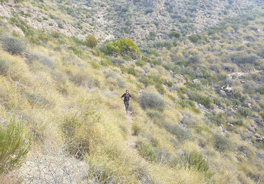 Cabezo De La Panadera