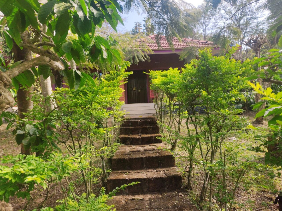 Wild Life Resorts主图