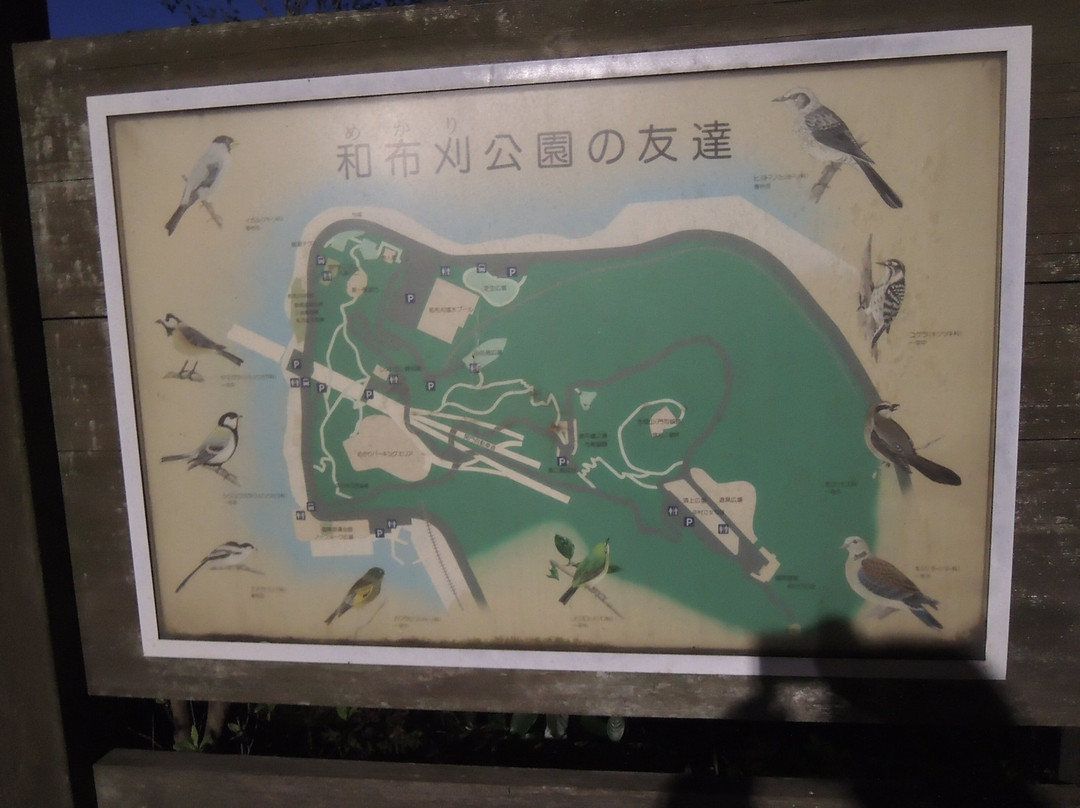 Mekari Park-北九州市必去景点