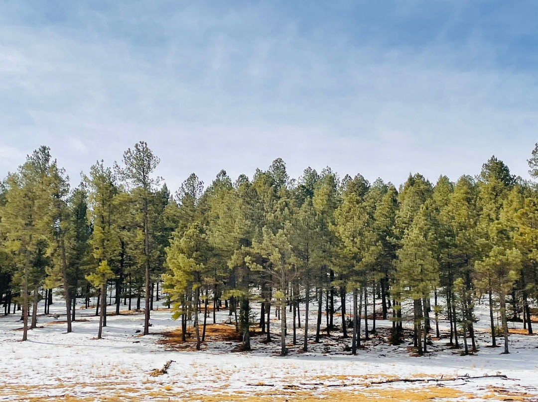 Mexican Canyon Trestle Vista-Cloudcroft必去景点
