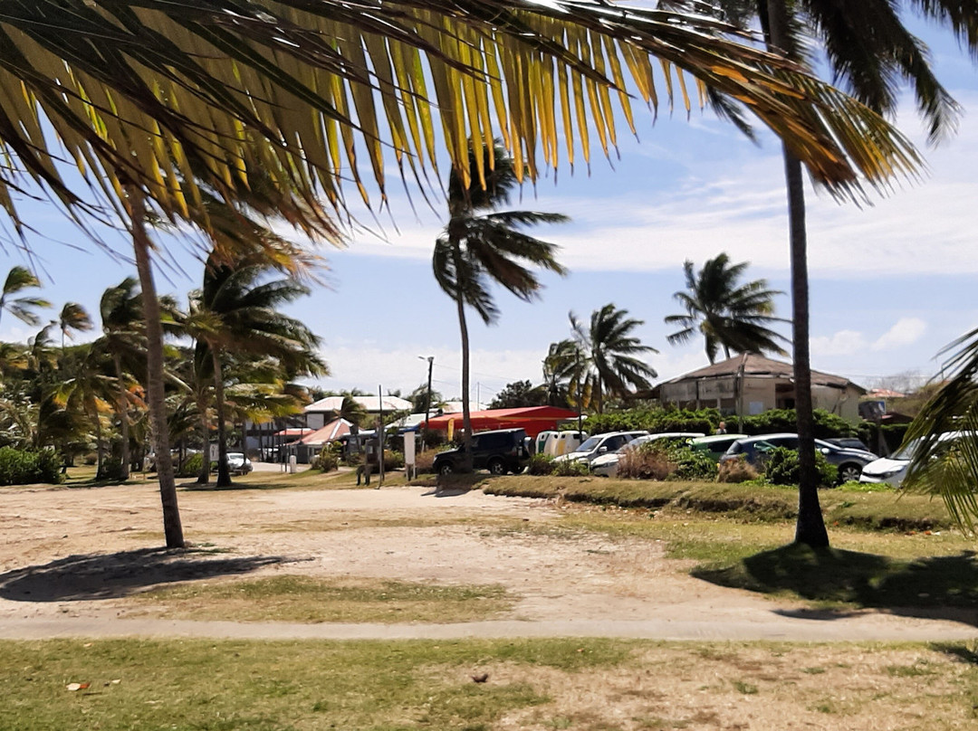 Plage Pointe Faula景点图片