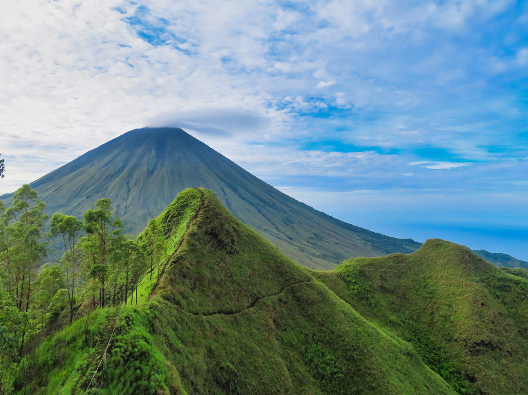 Cinnamon Guesthouse主图