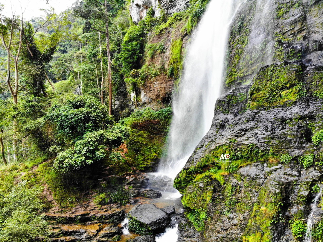 Canopy Walkway Ote Waterfalls景点图片