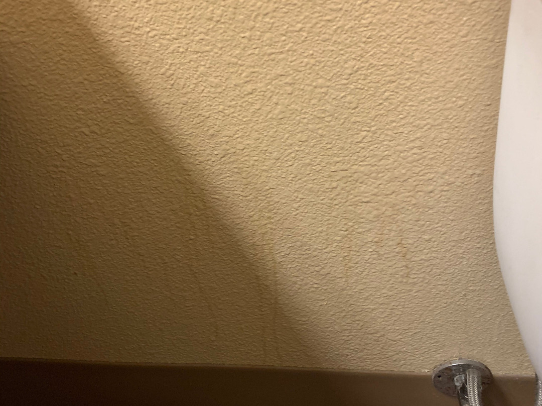 Extended Stay America - Juneau - Shell Simmons Drive主图