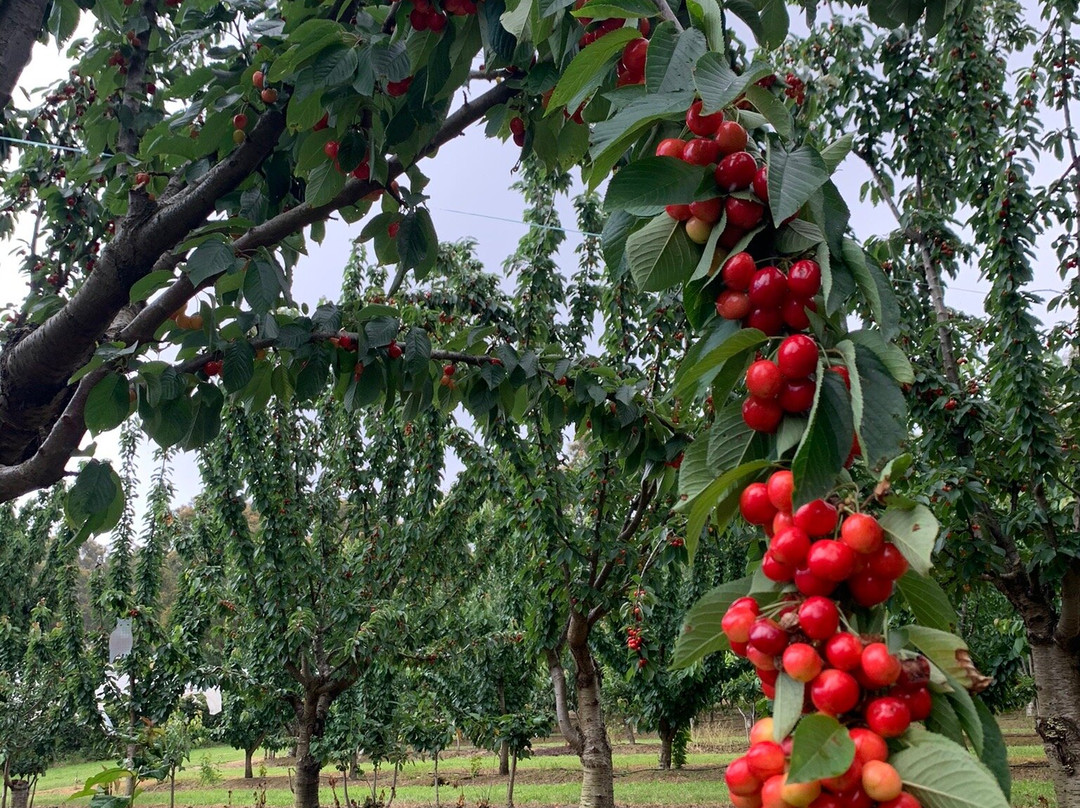 Rocky Creek Farm Gate景点图片