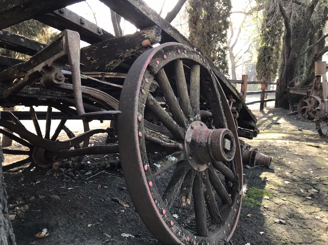 Lagoon Valley/Pena Adobe Regional Park-瓦卡维尔必去景点