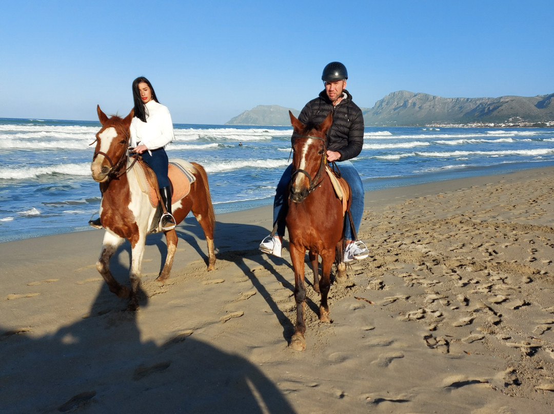 Son Serra de Marina Beach-Son Serra de Marina必去景点
