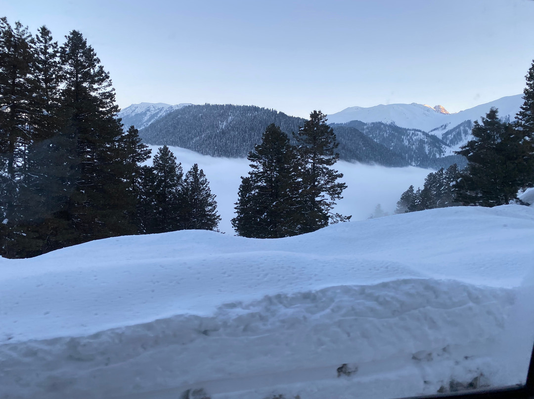 Young Bombay Tours Kashmir-斯利那加必去景点
