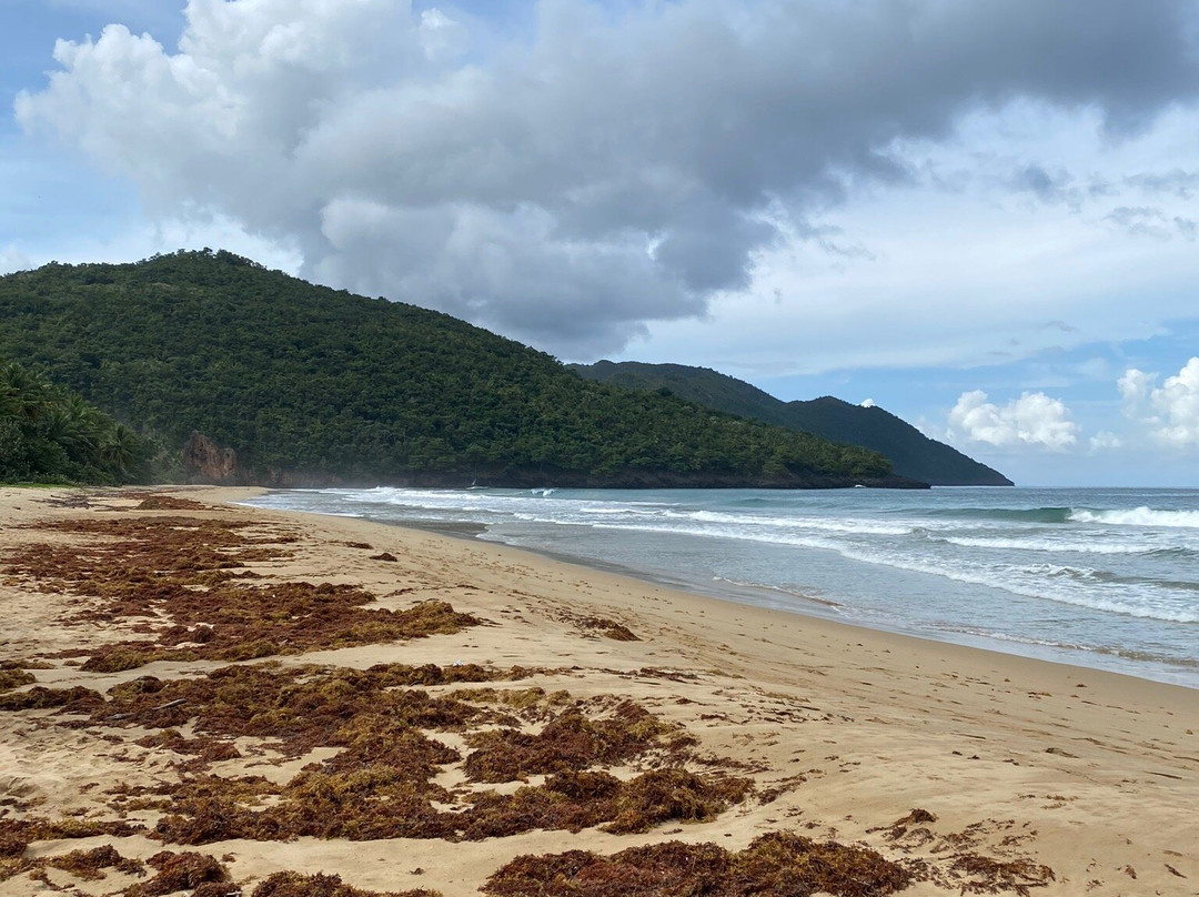Playa El Valle景点图片