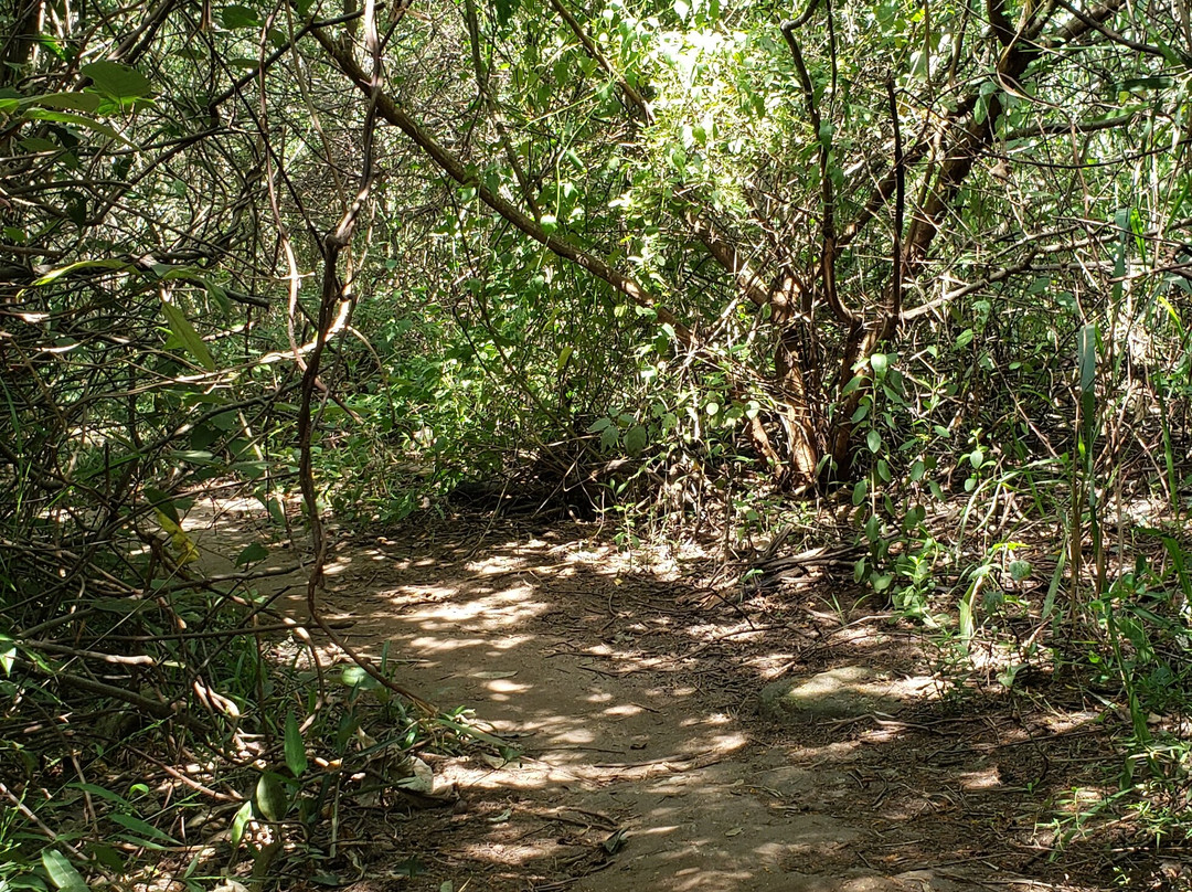 Morro das Andorinhas景点图片