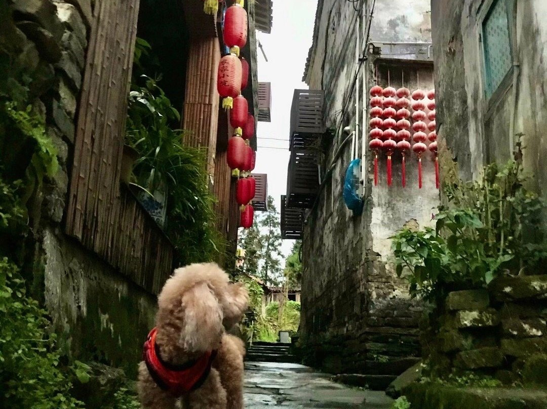 理坑-婺源县必去景点