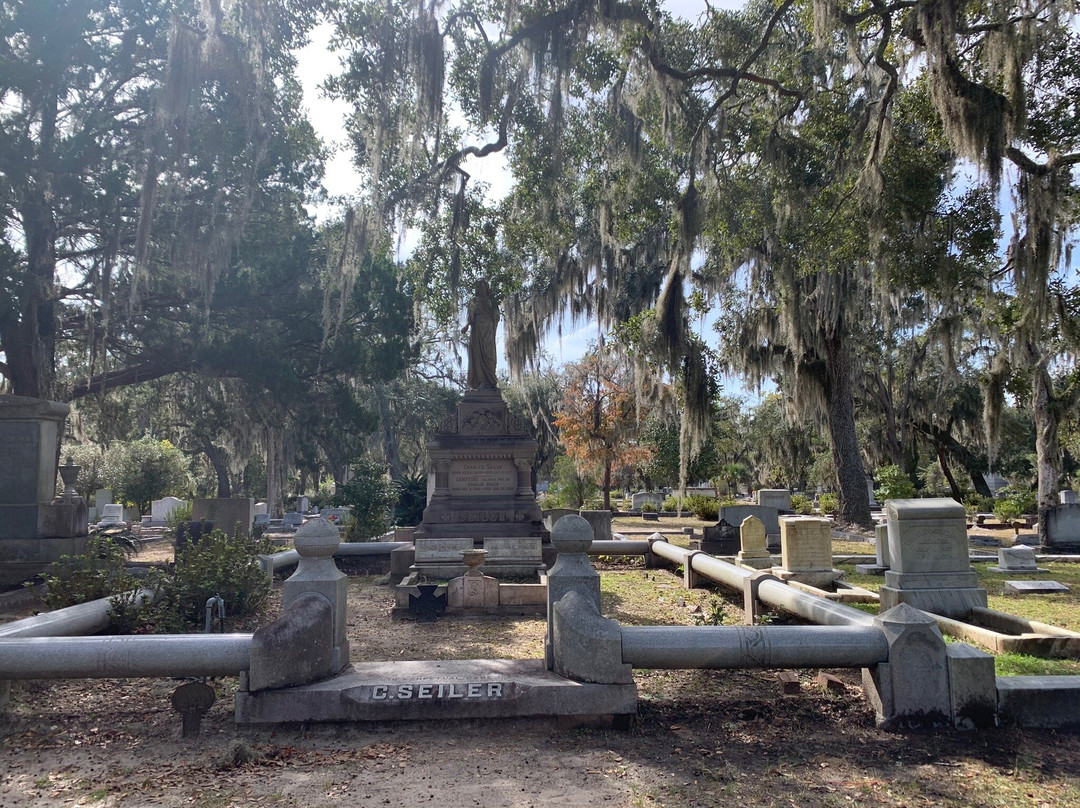 Savannah Cruzers-萨凡纳必去景点