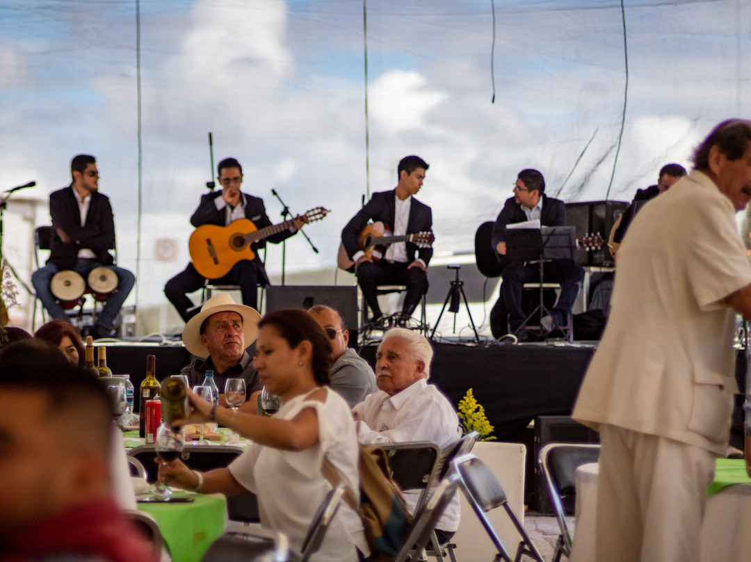 Vinicola San Patricio-Tequisquiapan必去景点