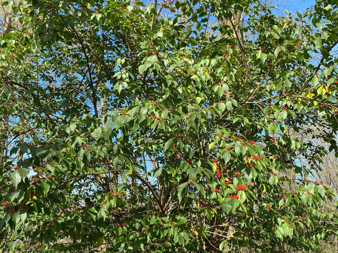 Chagrin River Park-Willoughby必去景点