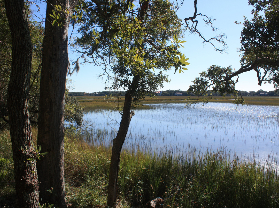 Edisto Beach State Park景点图片