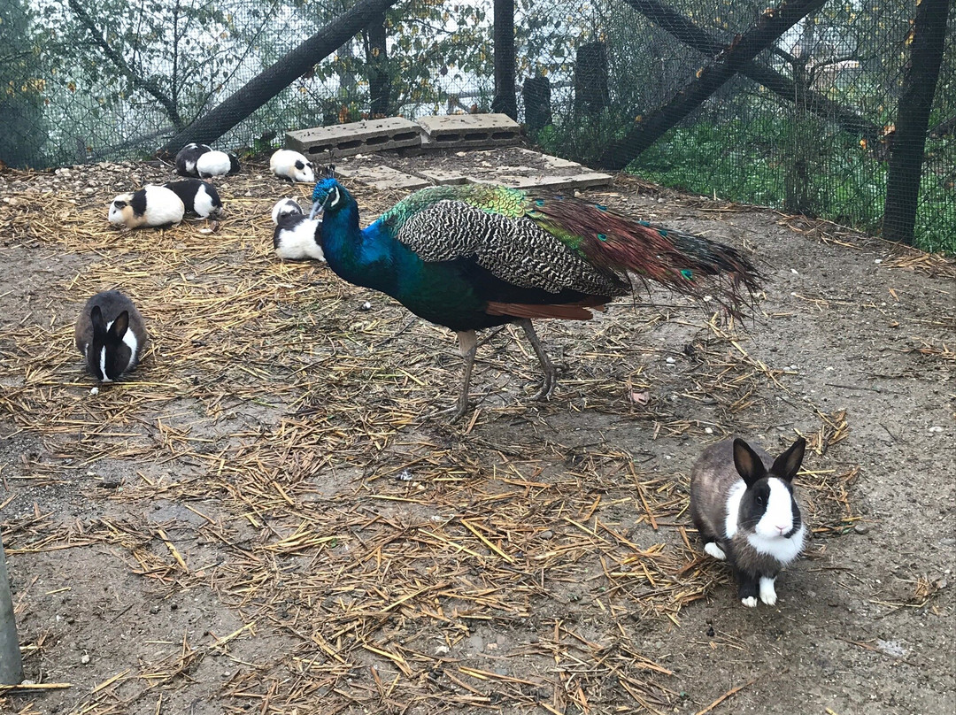 Agriturismo San Giovanni主图