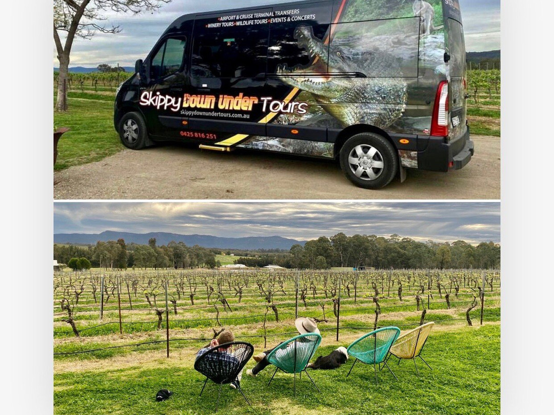 猎人谷红酒品尝之旅-悉尼必去景点