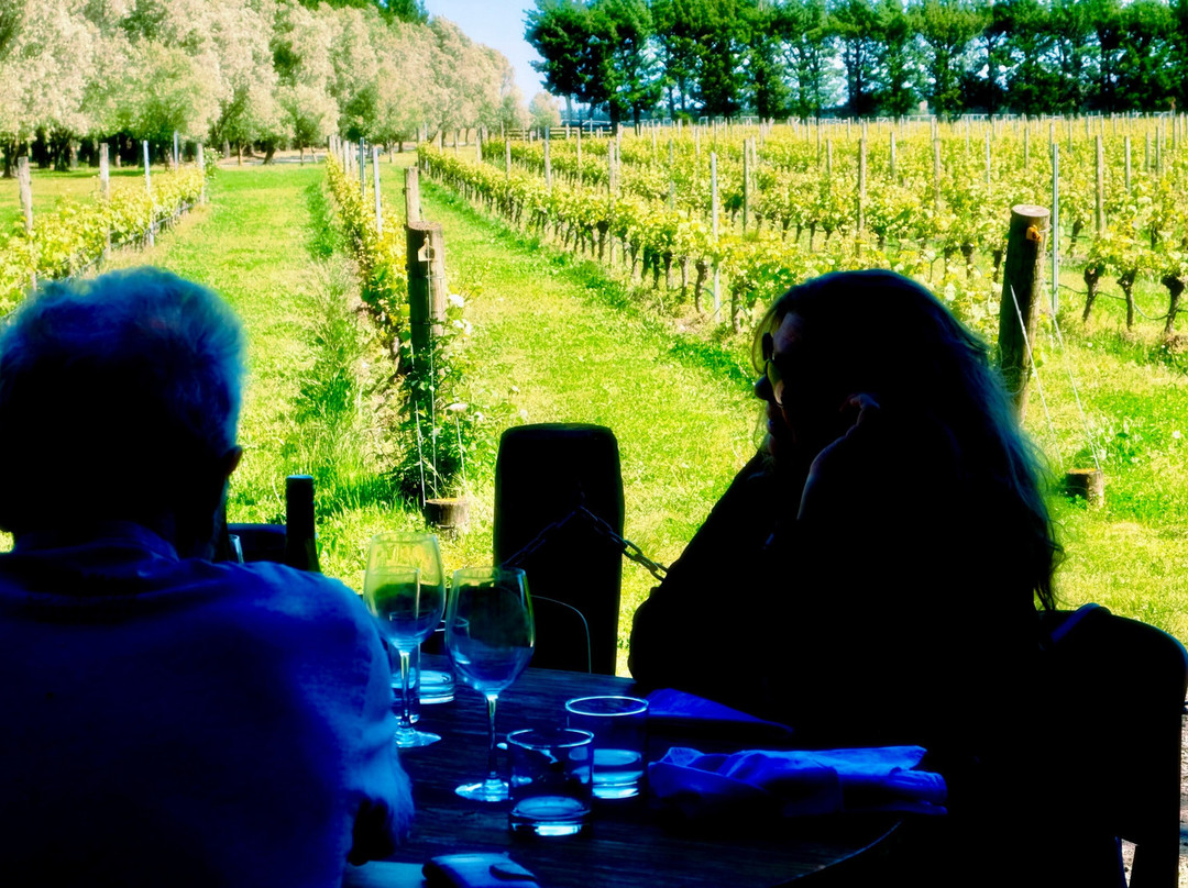 Fiddler's Green Vineyard & Bistro景点图片