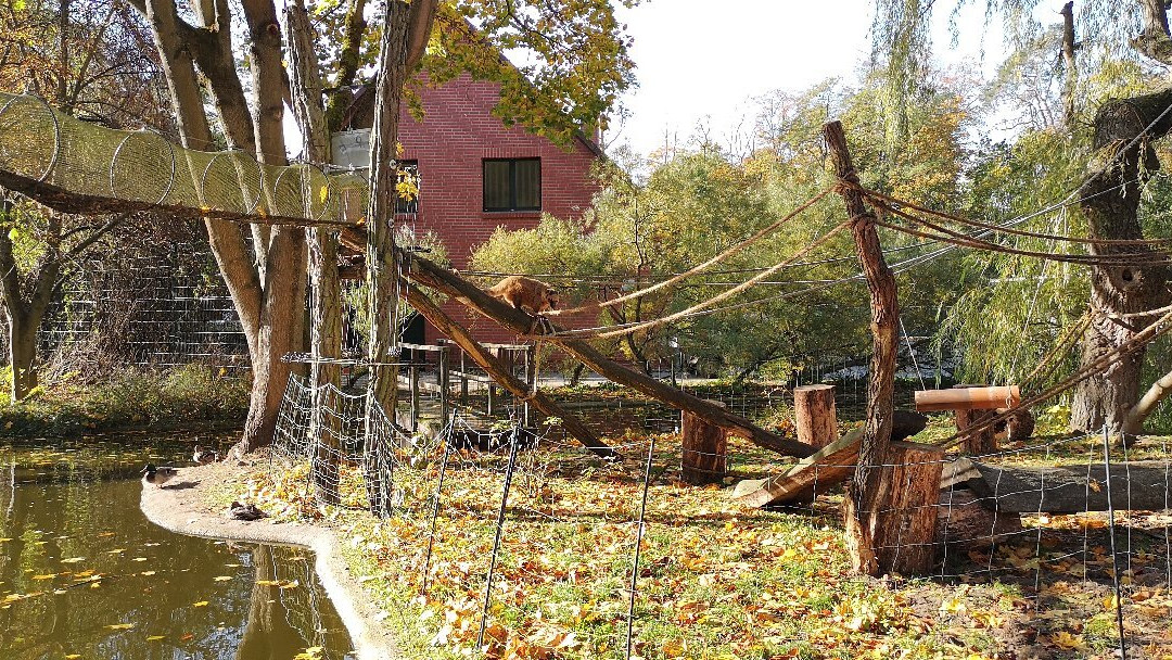 Tierpark Ueckermünde景点图片