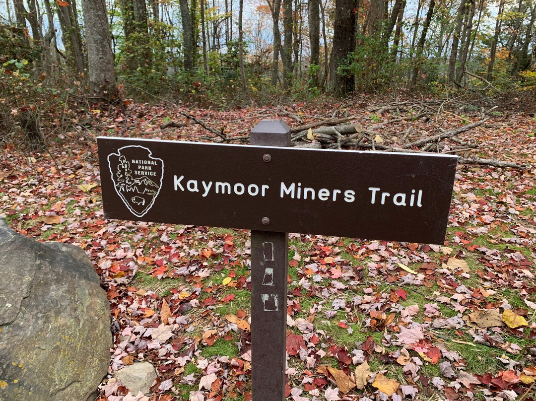 Kaymoor Miners Trail景点图片