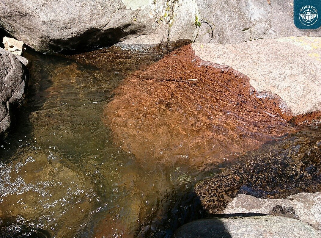 Kokuyos - Estado de México / Senderismo / Recorridos en el bosque / Campamentos景点图片