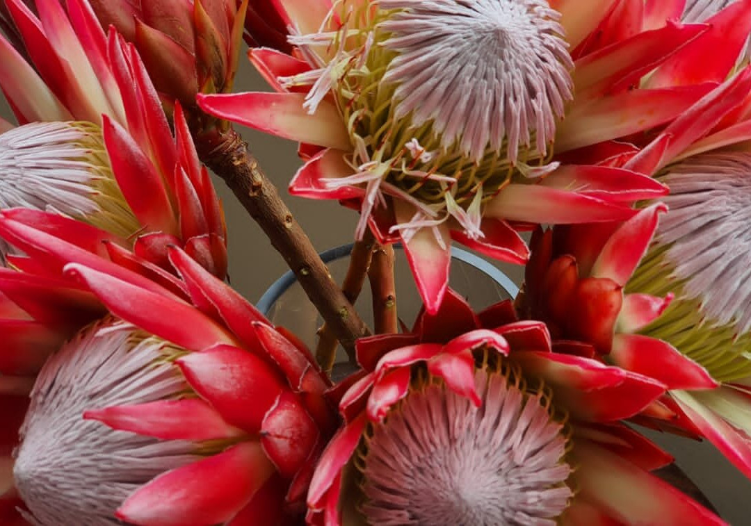 Aire del Mar Guest House主图