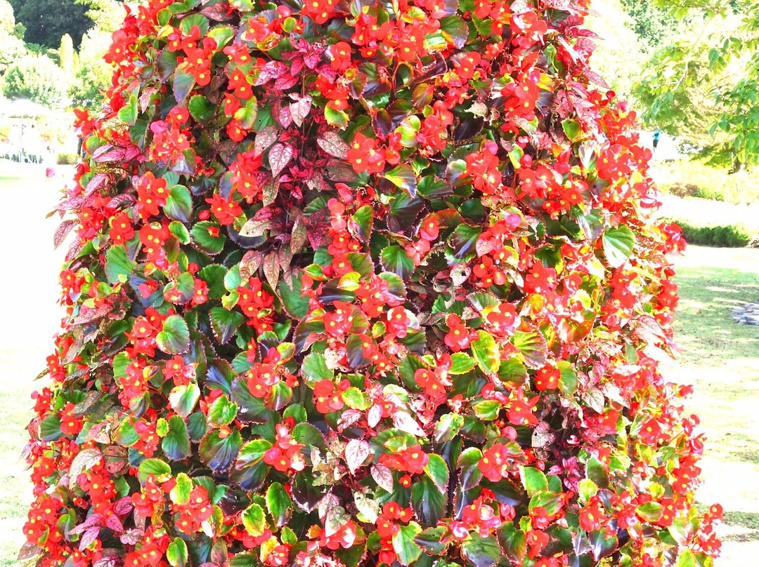 Yamaguchi Flower Land-柳井市必去景点