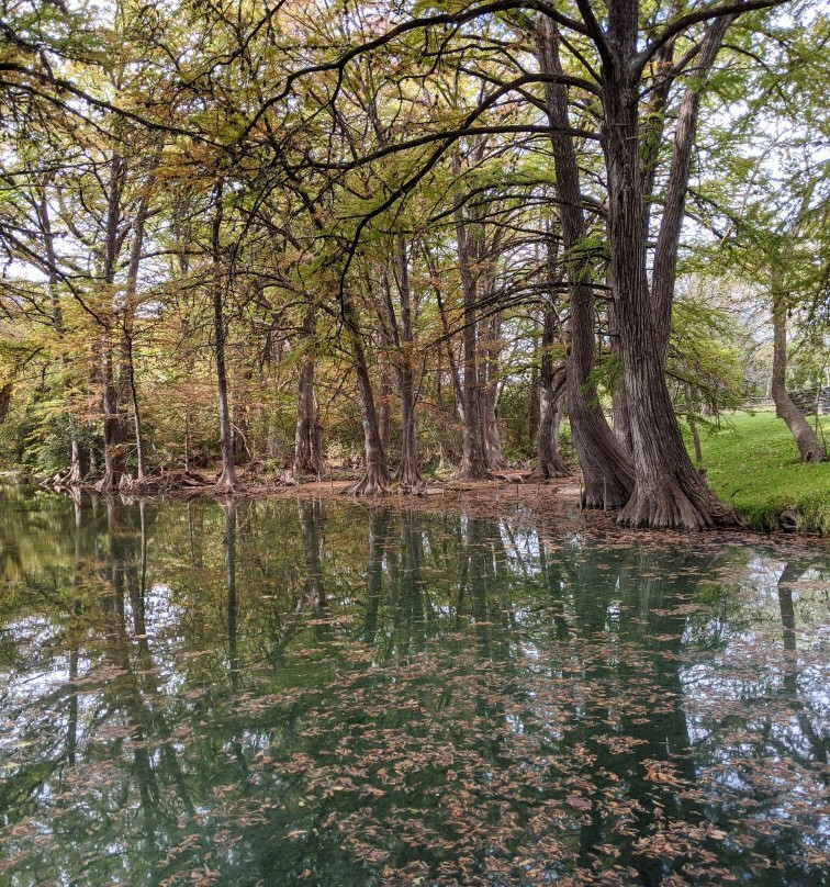 Blue Hole Regional Park-Wimberley必去景点