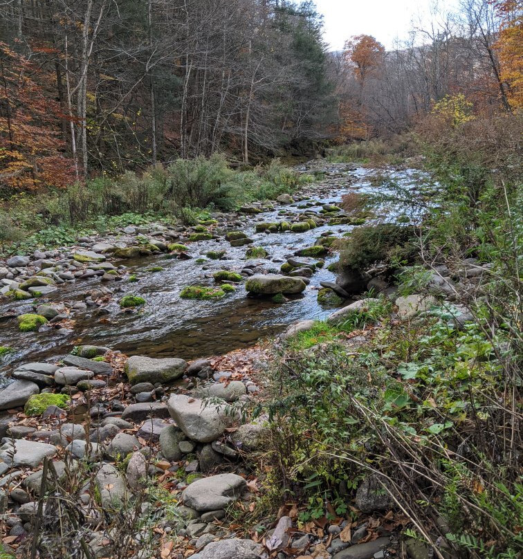 Woodland Valley State Park景点图片