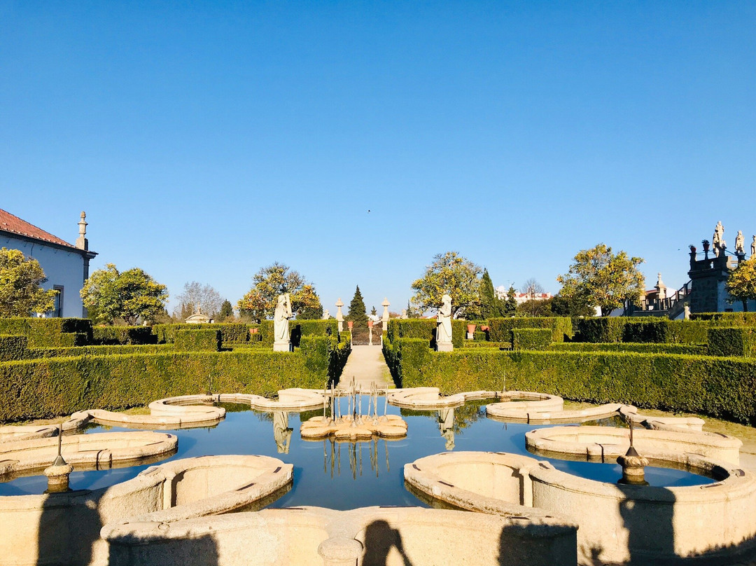 Castle of Castelo Branco景点图片