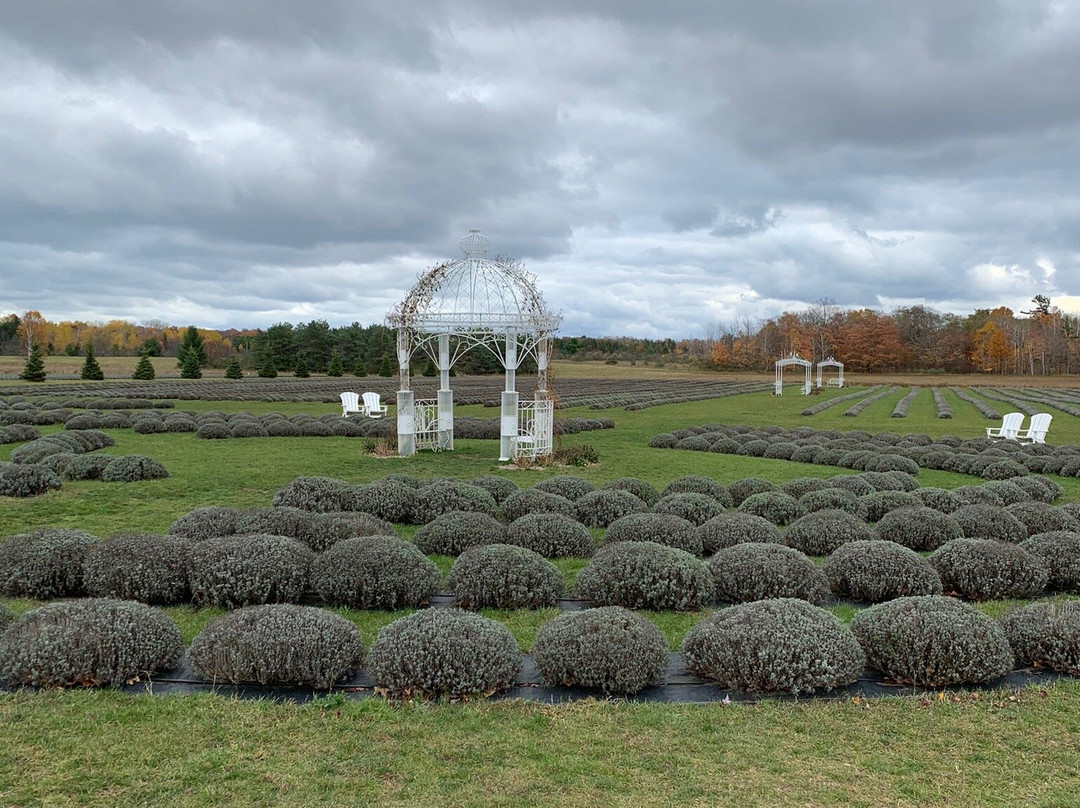 Fragrant Isle Lavender Farm & Shop-Washington Island必去景点
