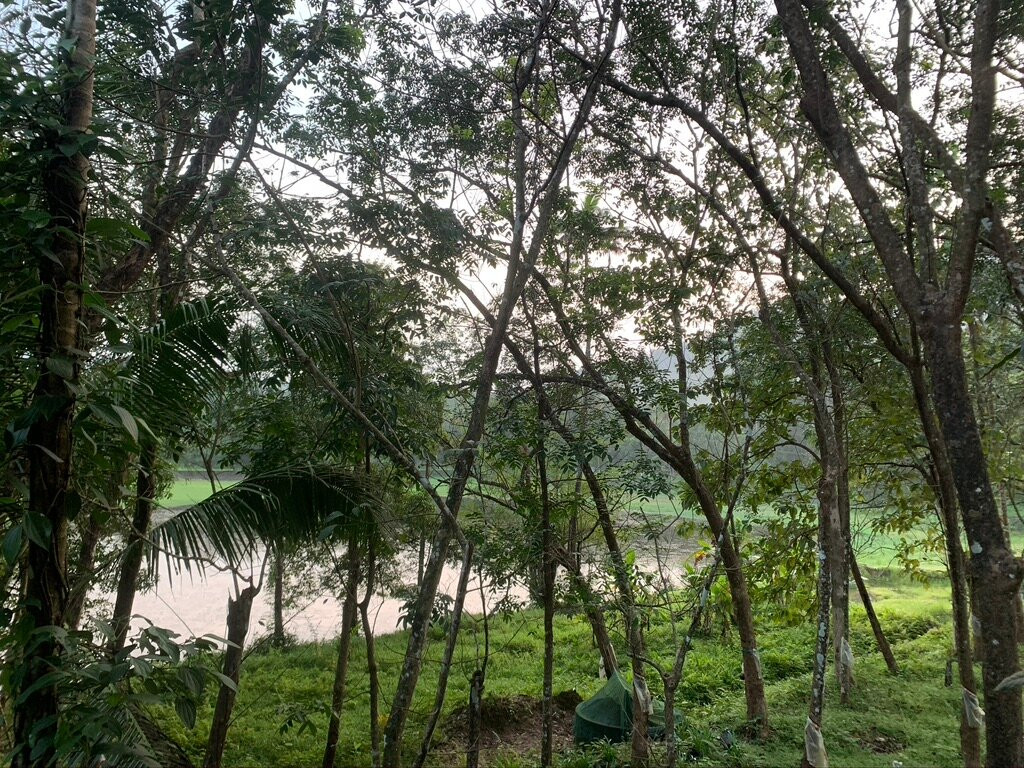 Jungle Bird Homestay主图