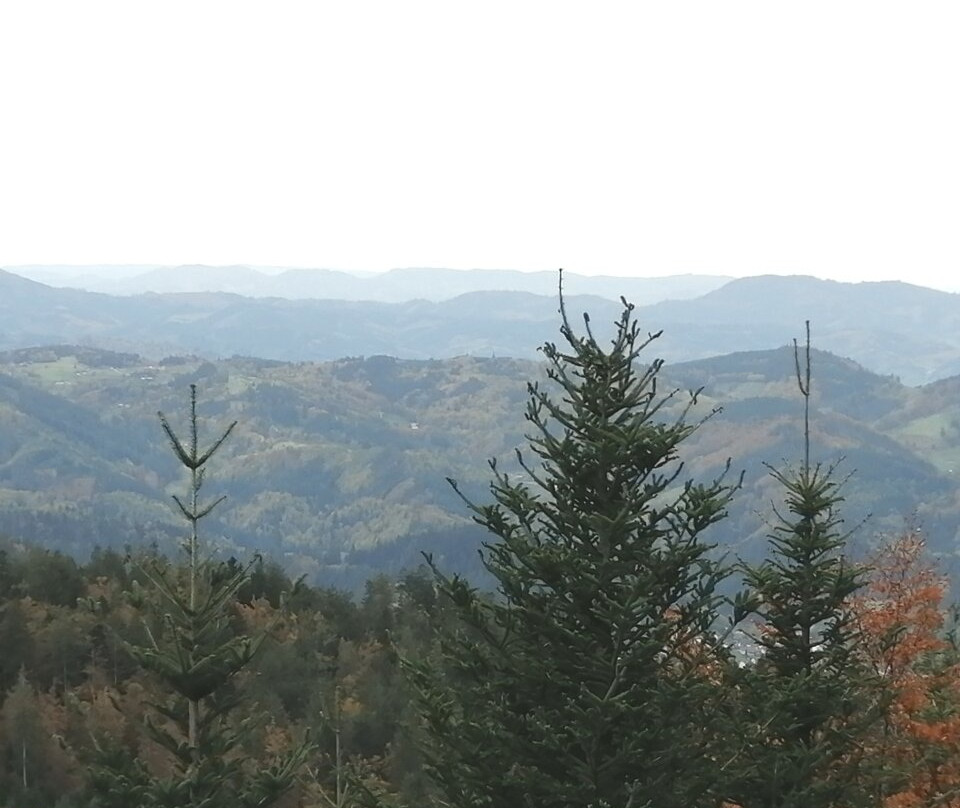 Schwarzwald Hochstrasse-拜尔斯布龙必去景点