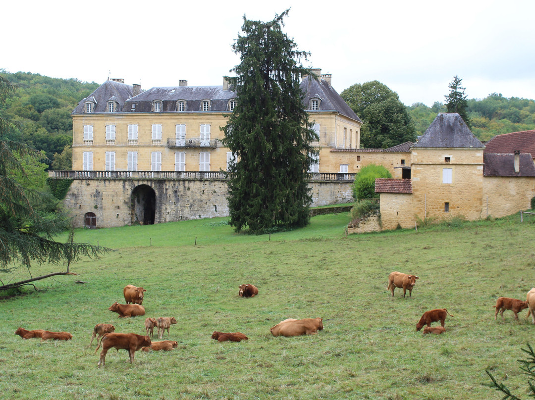 Chateau du Roc景点图片