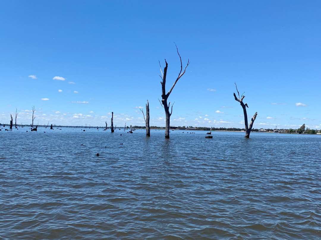 MV Paradise Queen-Yarrawonga必去景点