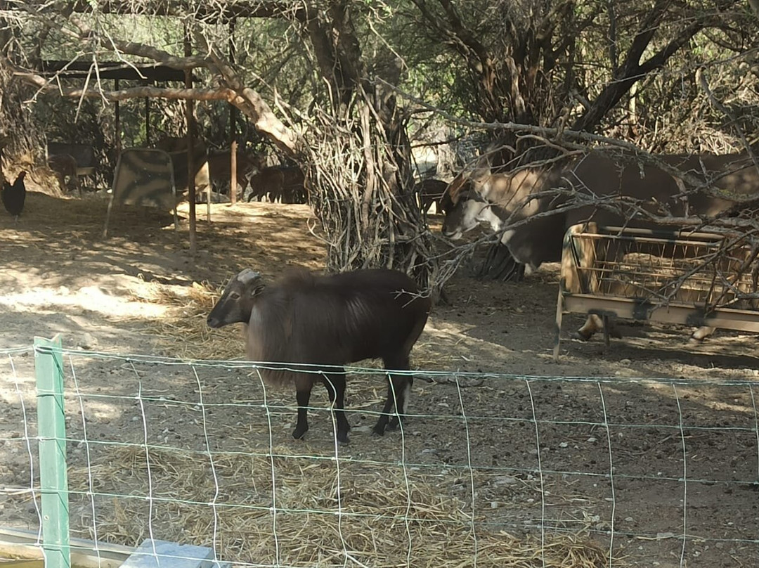 La Pequena Africa Animal Reserve景点图片