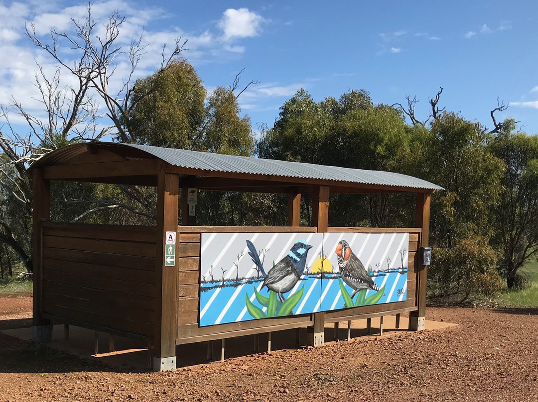 Winton Wetlands Art Trail景点图片