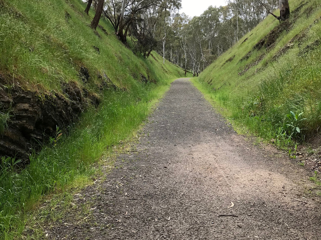 Cheviot Tunnel景点图片