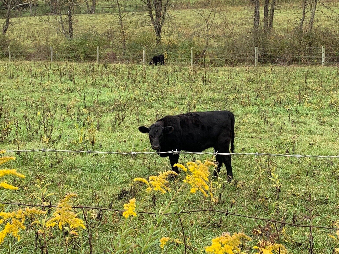 Rockbridge State Nature Preserve-Rockbridge必去景点