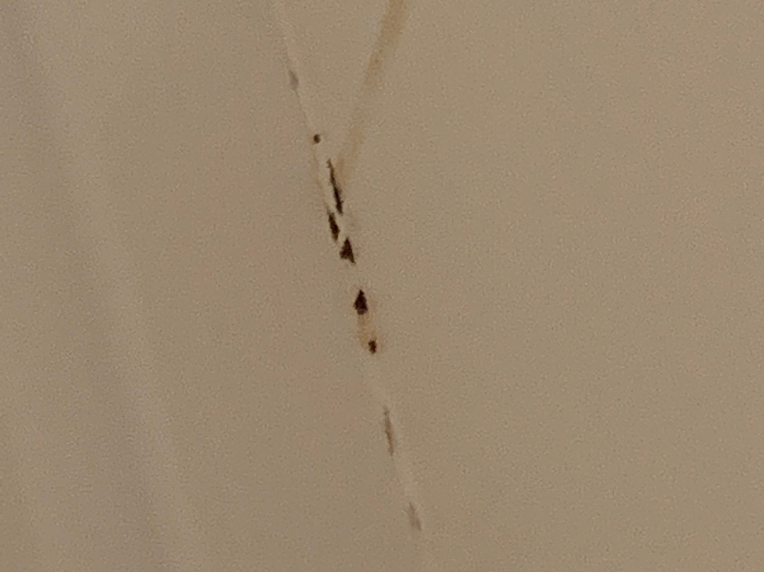 Domaine de la Sablière主图