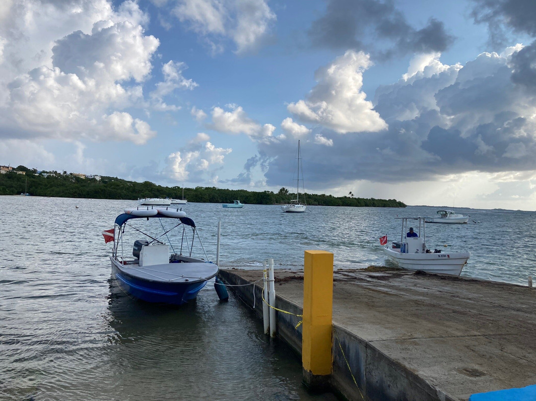 East Coast Water Taxi-法哈多必去景点