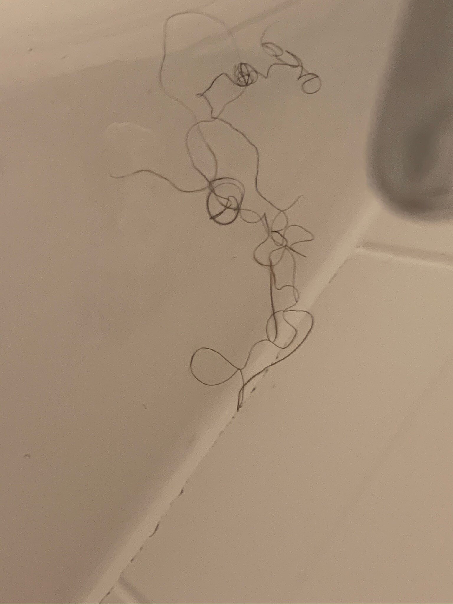 Homewood Suites By Hilton Akron Fairlawn, Oh-浴室